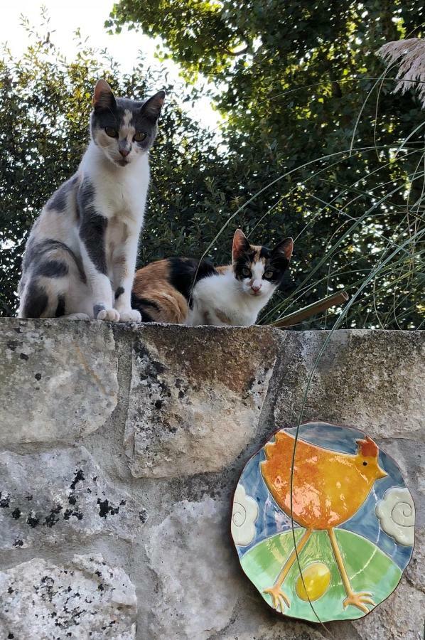 Casas Dos Infantes - Turismo Rural Caldas Da Rainha Kültér fotó